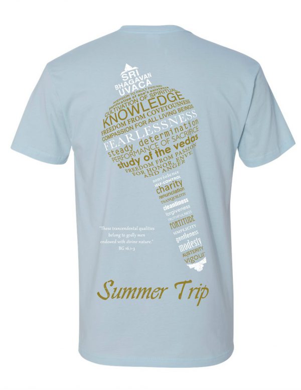 Summer 2018 Light Blue T-shirt back